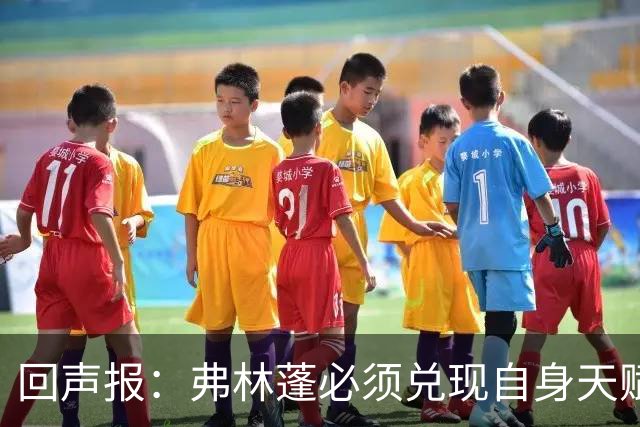 回声报：弗林蓬必须兑现自身天赋，伊劳拉上任给了他全新的机会